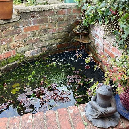 Cosy 2 Bedroom Victorian Cottage, Newport, Isle Of Wight Newport  Eksteriør billede