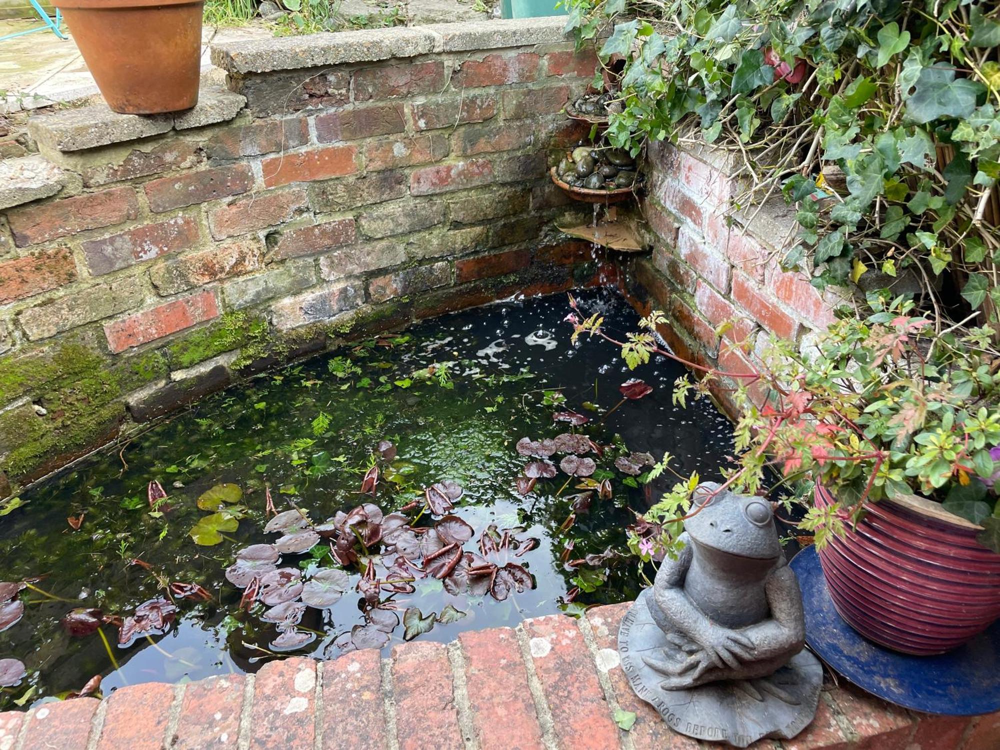 Cosy 2 Bedroom Victorian Cottage, Newport, Isle Of Wight Newport  Eksteriør billede